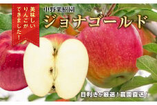 中野果樹園のジョナゴールド5kg（16～20個入り）