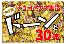 フタバ食品　アイス30本　チョコバナナ生活