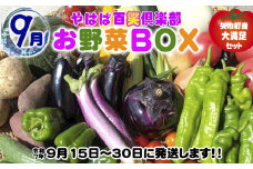 数量限定　矢巾町産　秋野菜セット【10種】9月発送
