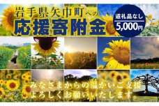 岩手県矢巾町（やはばちょう）応援寄附金（※返礼品なし）5,000円