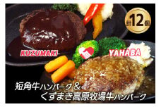 岩手県　矢巾町と葛巻町の人気返礼品 ハンバーグの食べ比べ合計12個