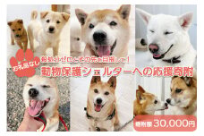 【お礼品なし】殺処分ゼロとその先を目指して！　動物保護シェルターへの応援寄附　30,000円