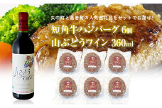 岩手県　矢巾町と葛巻町の人気返礼品 短角牛ハンバーグ6個と受賞歴ワイン「山ぶどうワイン360ml」のセット