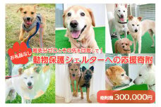 【お礼品なし】殺処分ゼロとその先を目指して！　動物保護シェルターへの応援寄附　300,000円