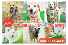 【お礼品なし】殺処分ゼロとその先を目指して！　動物保護シェルターへの応援寄附　1,000,000円