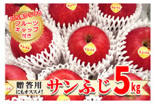 高橋りんご園　『サンふじ』5kg(12～14玉)　フルーツキャップ付き　贈答用にもオススメ！