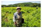 やまに農産 代表の高橋医久子さん。古い文献から学びながらわらび粉を現代に復活させました。