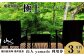 奥羽山脈に囲まれたヒーリングリゾート「山人 -yamado-」（やまど）