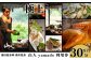 奥羽山脈に囲まれたヒーリングリゾート「山人 -yamado-」（やまど）