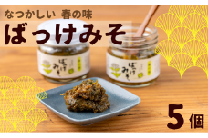 森の工房「ばっけみそ」（70g）5個