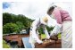 自然豊かな岩手県・西和賀町で採蜜した 100％ 天然 のはちみつです