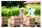 糖度80度以上を保証。はちみつ商品もおすすめ
