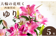 【発送開始】西和賀・高原のユリ 5本