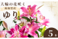 今年も発送開始！受付は１１月まで！