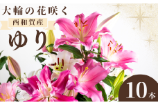 【発送開始】西和賀・高原のユリ 10本