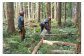 山を守り育て、後世に伝えながら、地域貢献を実現できるよう、役職員・現場一同、頑張っています。