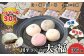 お餅一筋３０年、雪国のだんご屋 団平の看板商品「大福」は、白・梅・豆・草の４種類