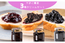 山里の恵みジャム３本（カシス・ブルーベリー・ハックルベリー）