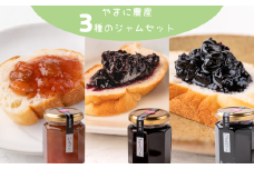 山里の恵みジャム３本（イチゴ・ブルーベリー・ハックルベリー）
