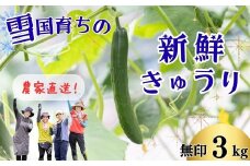 ファーム吉五郎　きゅうり　無印3kg