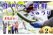 ファーム吉五郎　きゅうり　A品2kg
