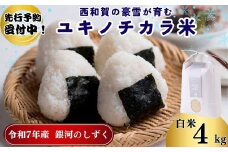 【令和7年度産】ユキノチカラ米　銀河のしずく　白米4kg