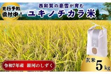 【令和7年度産】ユキノチカラ米　銀河のしずく　玄米5kg