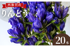 【受付9月まで】西和賀りんどう（1）旬の品種 20本