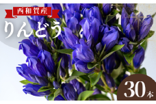 【受付9月まで】西和賀りんどう（2） 旬の品種 30本
