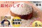 発送当日に精米した、「大地のぬくもり　富博＆友子米」５kg をお届け☆