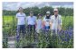 りんどう農家と西和賀農業振興センターの皆さん