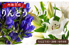 【受付9月中迄】西和賀りんどう ＆ ゆり セット（2） （りんどう 15〜20本 ＋ ゆり 4本）