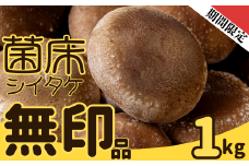 【先行予約】ファーム吉五郎　菌床シイタケ無印品　1kg