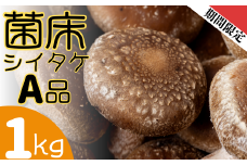 【先行予約】ファーム吉五郎　菌床シイタケA品1kg