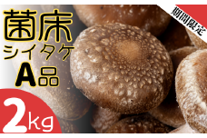 【先行予約】ファーム吉五郎　菌床シイタケA品2kg