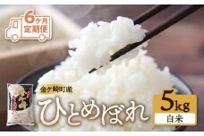 【 ひとめぼれ 6ヶ月 定期便 】 毎月 5kg お届け 精米 金ケ崎町産 お米 自宅 炊飯 お弁当 袋 岩手県 金ケ崎町 いわて 米 コメ こめ 白米 ブランド米 ごはん ご飯 白飯 飯 おにぎり 岩手 金ケ崎