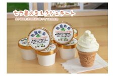 ジェラート12個　牧草の丘