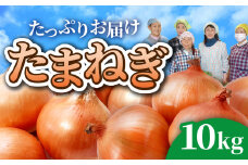 玉ねぎ 10kg ( M～L サイズ不揃い 28個程度) 訳あり 新鮮 生食 常温 令和7年7月〜9月発送｜ふるさと納税 人気 ランキング 玉ねぎ 玉ネギ タマネギ 玉葱 オニオン 国産 サラダ おすすめ 野菜 岩手県 金ケ崎町