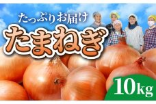 玉ねぎ 10kg ( M～L サイズ不揃い 28個程度) 訳あり 新鮮 生食 常温 令和7年7月〜9月発送｜ふるさと納税 人気 ランキング 玉ねぎ 玉ネギ タマネギ 玉葱 オニオン 国産 サラダ おすすめ 野菜 岩手県 金ケ崎町