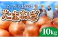 果肉のある、食感のいい品種です
