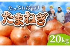 【先行予約】玉ねぎ 訳あり 20kg（74〜84個）M L サイズ 不揃い 皮剥け たまねぎ タマネギ オニオン 玉葱 金ケ崎町産 バラバラ 生食 たまねぎ スープ カレー おすすめ