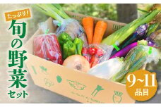 旬のお野菜セット 9〜11品 季節 旬 春野菜 夏野菜 秋野菜 金ケ崎町 旬 新鮮  野菜 セット 詰め合わせ おまかせ 