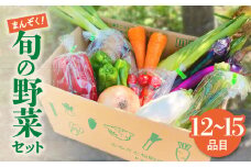 旬のお野菜セット 12〜15品 季節 旬 春野菜 夏野菜 秋野菜 金ケ崎町 旬 新鮮  野菜 セット 詰め合わせ おまかせ