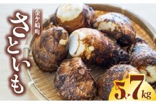 《数量限定》里芋 (土垂)  7kg (5+2kg) 里いも さといも 芋の子 芋のこ いものこ サイズ 不揃い バラバラ 野菜  岩手県 金ケ崎町