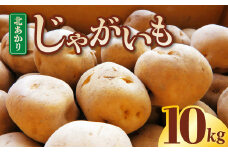 【訳あり】じゃがいも  10kg   野菜 ジャガイモ ポテト キタアカリ きたあかり 岩手県 金ケ崎町