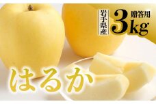 【先行予約】令和6年産 りんご はるか 贈答用 3kg(9‐11玉) 岩手県 金ケ崎町産 12月上旬発送予定 リンゴ フルーツ くだもの 林檎 