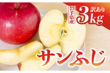 【先行予約】令和6年産 りんご サンふじ 訳あり 3kg  岩手県 金ケ崎町産 12月上旬発送開始