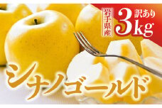 【先行予約】令和6年産 りんご シナノゴールド 訳あり 3kg 岩手県 金ケ崎町産 12月上旬発送開始