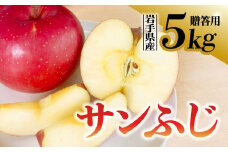 【先行予約】令和6年度 りんご サンふじ 贈答用 5kg 岩手県 金ケ崎町産 12月上旬発送開始