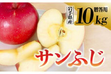【先行予約】令和6年産 りんご サンふじ 贈答用 10kg 岩手県 金ケ崎町産 12月上旬発送開始